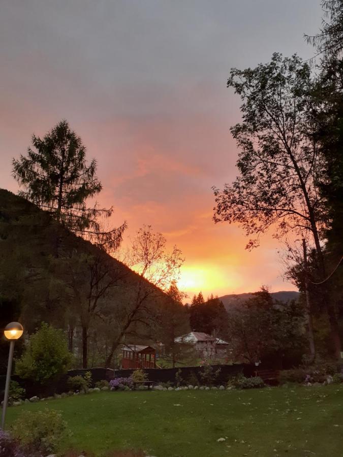 Temù Soggiorno Vacanze Stella Alpina מראה חיצוני תמונה