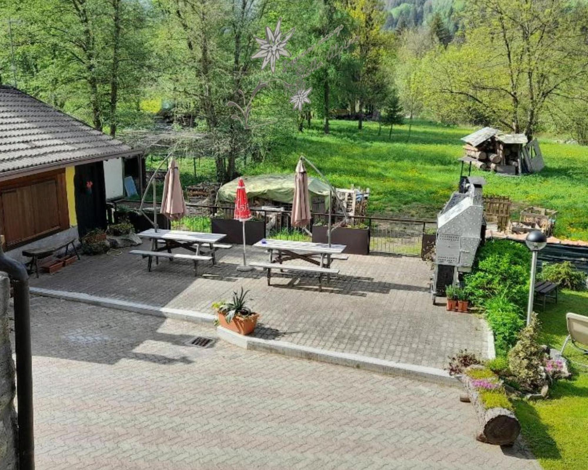 Temù Soggiorno Vacanze Stella Alpina מראה חיצוני תמונה